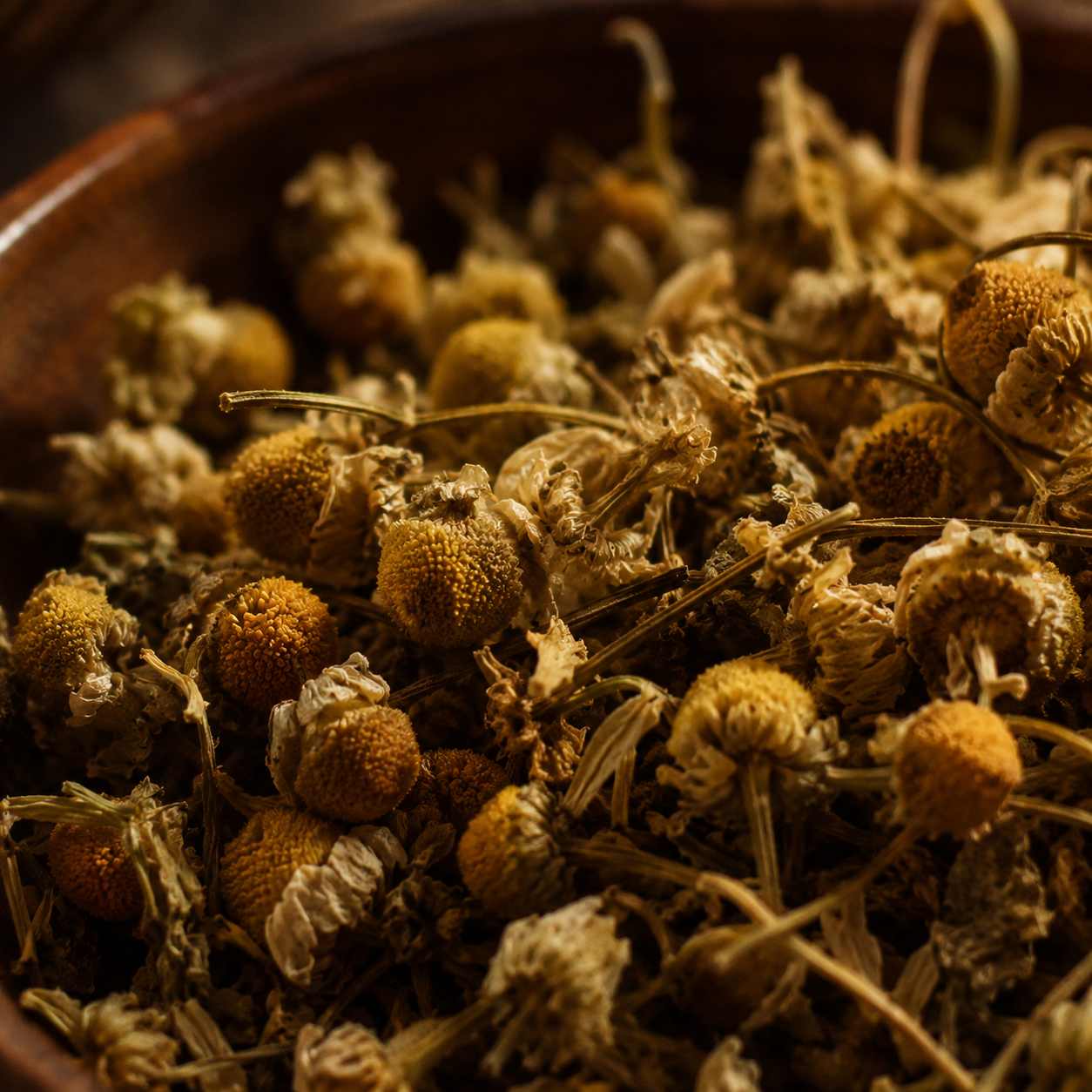 Macro close up of dried chamomile flowers and delicate herbal leaves in a rustic bowl, illuminated by warm amber lighting with soft earthy tones and a cosy natural atmosphere.